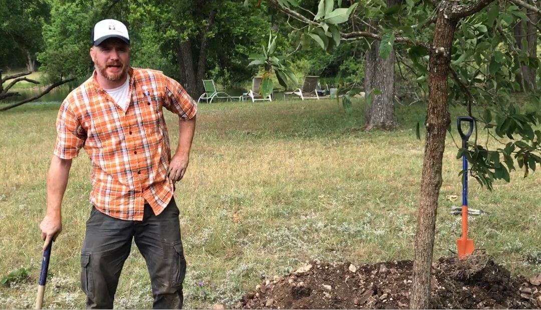 GTI Tree Stakes on HUGE Monterrey Oaks