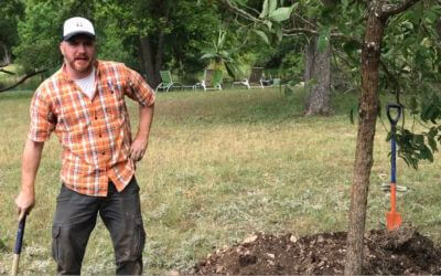 GTI Tree Stakes on HUGE Monterrey Oaks